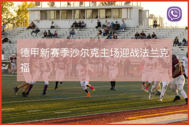 德甲新赛季沙尔克主场迎战法兰克福