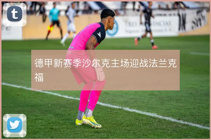 德甲新赛季沙尔克主场迎战法兰克福