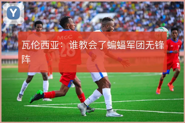 瓦伦西亚：谁教会了蝙蝠军团无锋阵