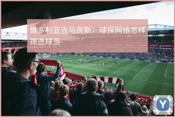 维多利亚吉马良斯:球探网络怎样筛选球员
